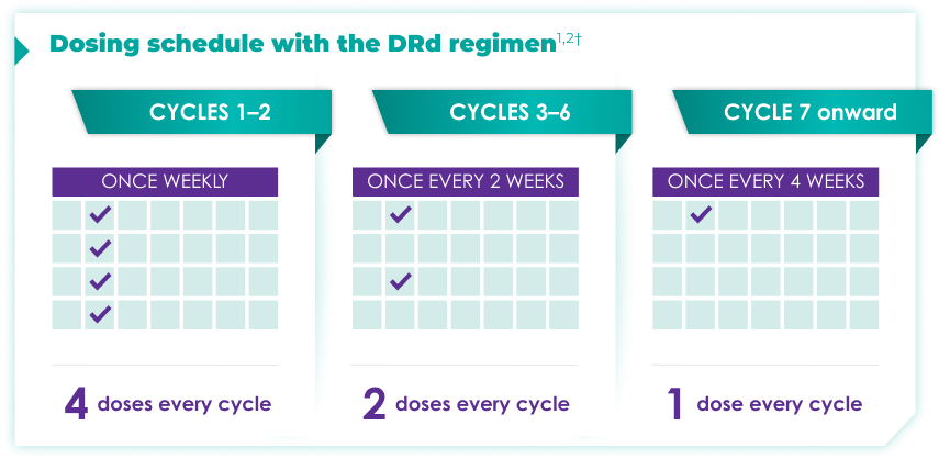 DARZALEX® dosing schedule: newly diagnosed DRd regimen