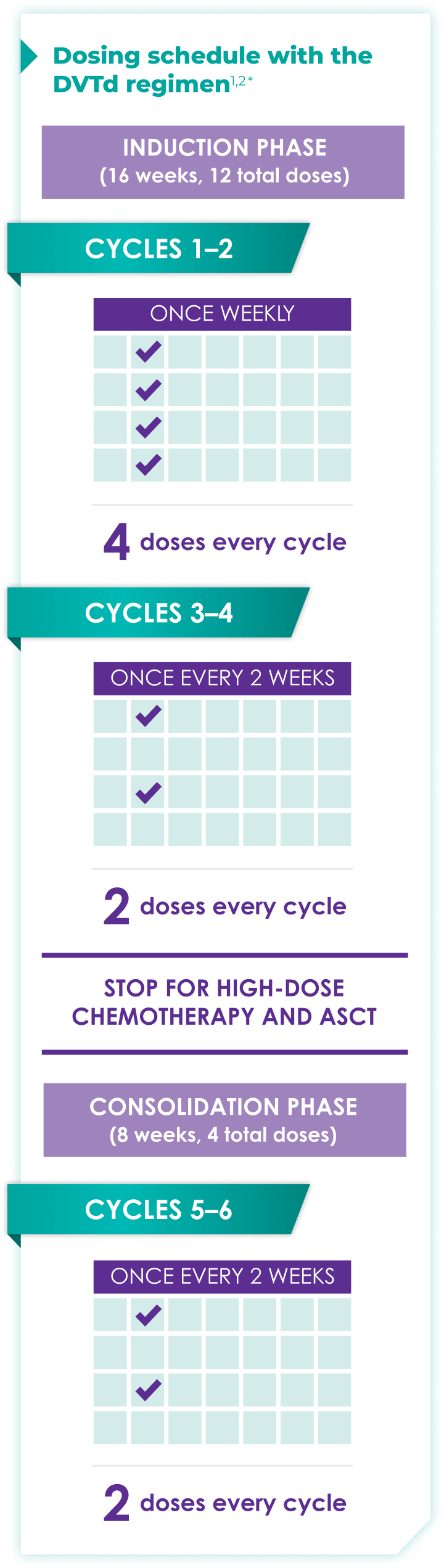 Chart showing dosing schedule with the DVTd regimen
