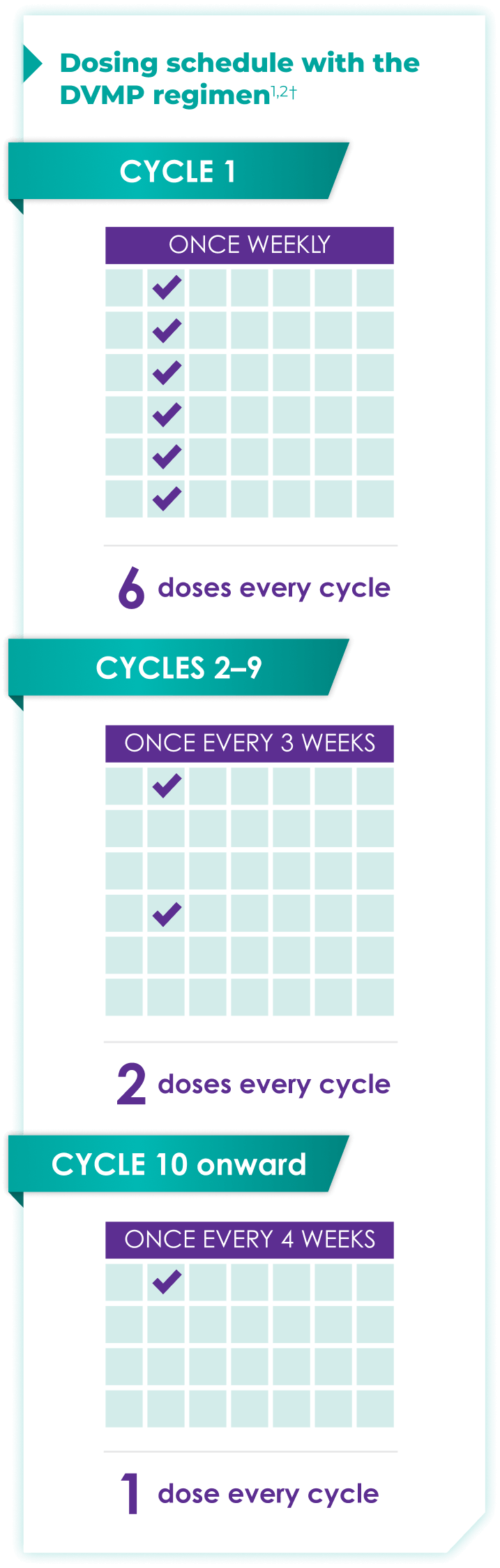 Dosing schedule with the DVMP regimen