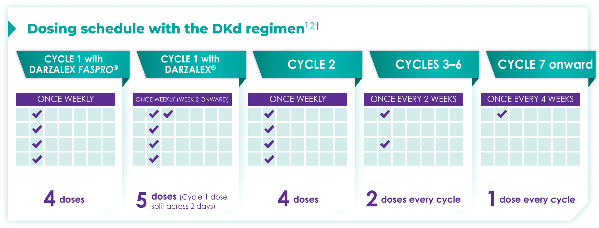 Dosing schedule with the DKd regimen