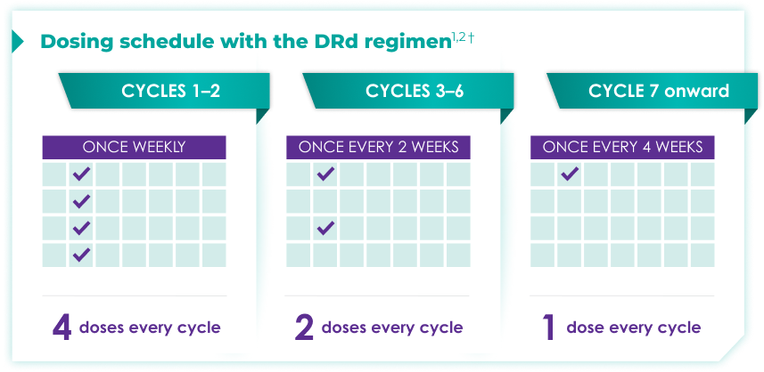 Dosing schedule with the DRd regimen