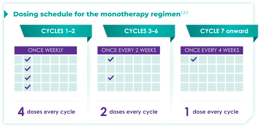 Dosing schedule for monotherapy regimen