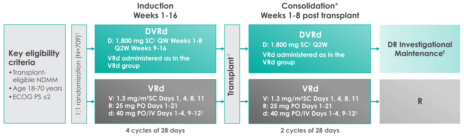 Study Design chart