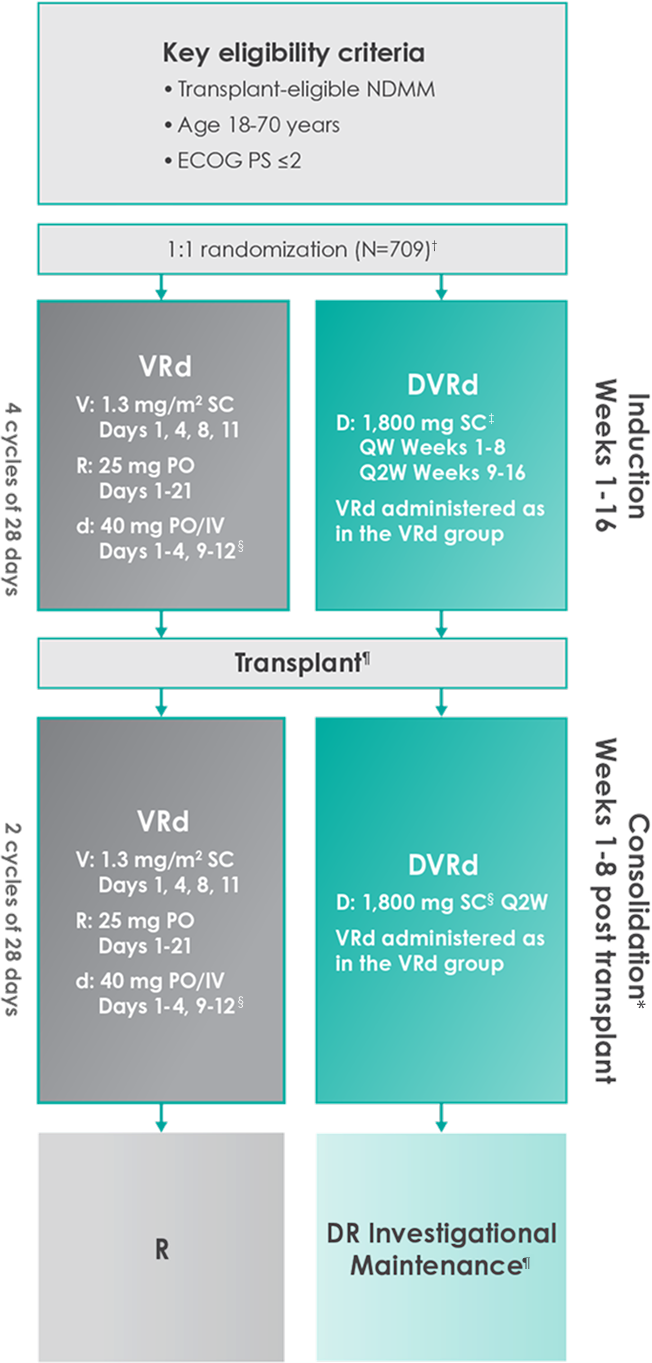 Study Design chart