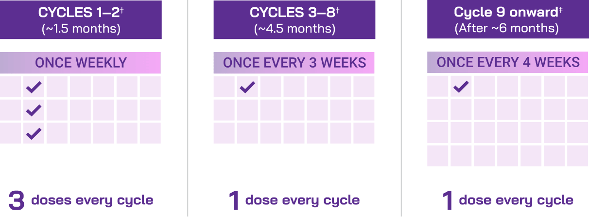 Dosing schedule with a DVRd regimen, graphic