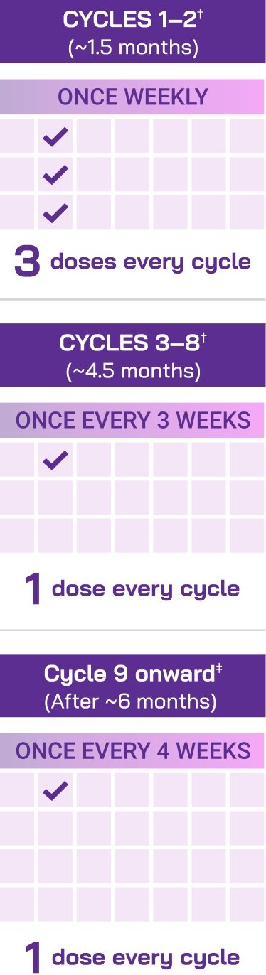 Dosing schedule with a DVRd regimen, graphic