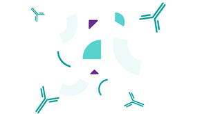 Daratumumab kills myeloma
