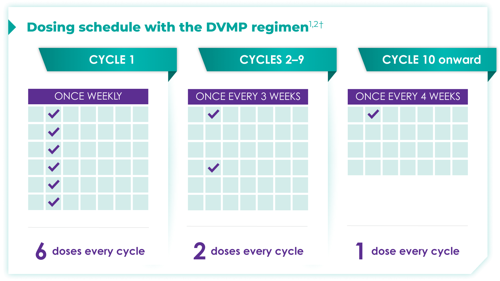 Dosing schedule with the DVMP regimen