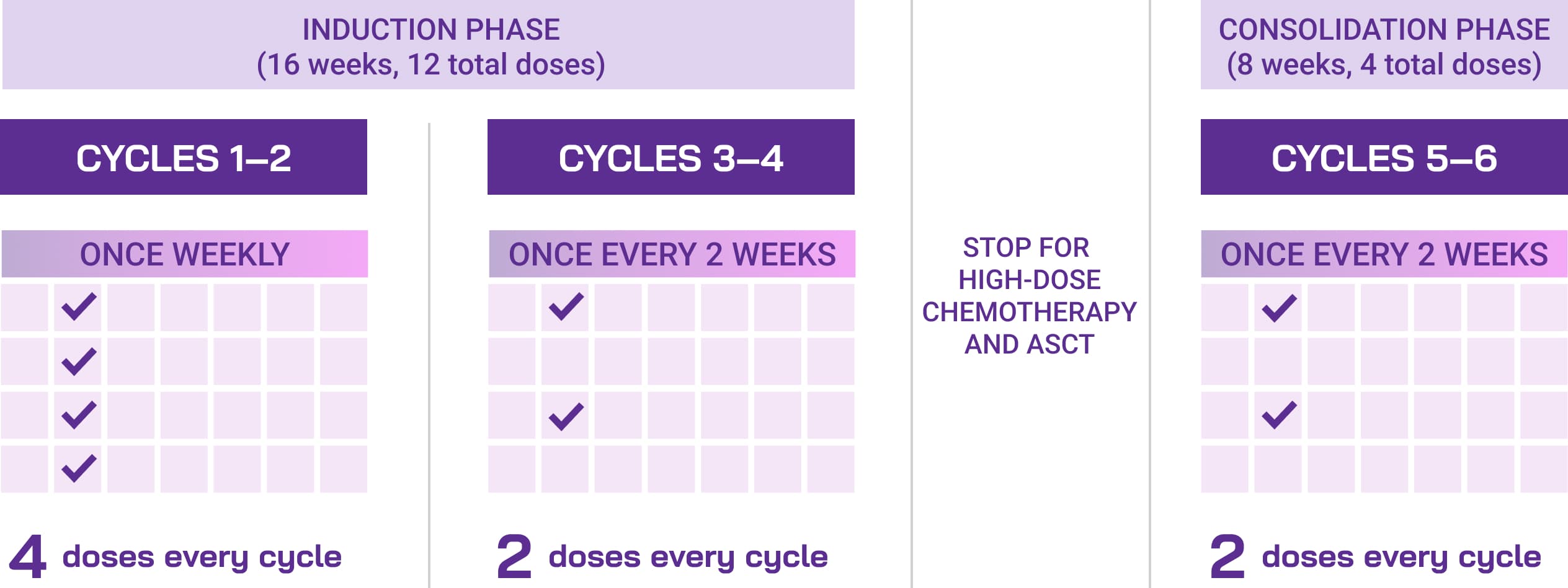 Dosing schedule with DARZALEX FASPRO® + VRd regimen